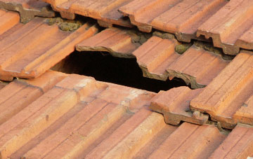roof repair Wykeham